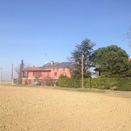 Agriturismo E Az. Agricola Ma.Mi Sale Exteriör bild